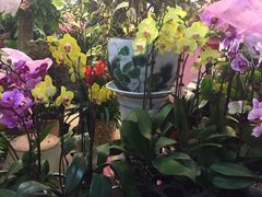 -双季花艺园艺市场(浦东店)