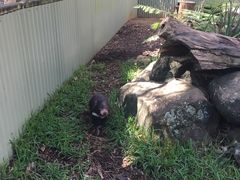 -可伦宾野生动物保护区