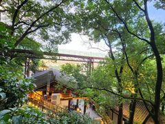 -巴倒烫陆派火锅山庄(南山总店)