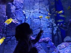 -成都浩海立方海洋公园