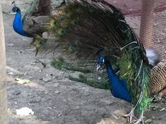 -昆山城市生态森林公园