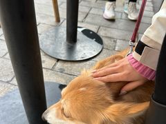 -DRUNK BAKER(上海陕康里店)