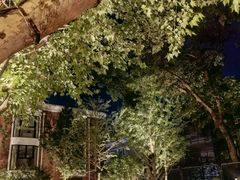 -徐家汇源景区-衡山坊