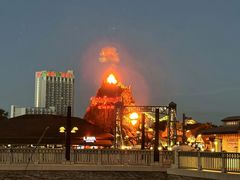 -奥兰多迪士尼动物王国乐园