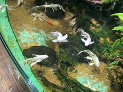 -太平洋海底世界