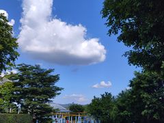 -美的鹭湖森林度假区