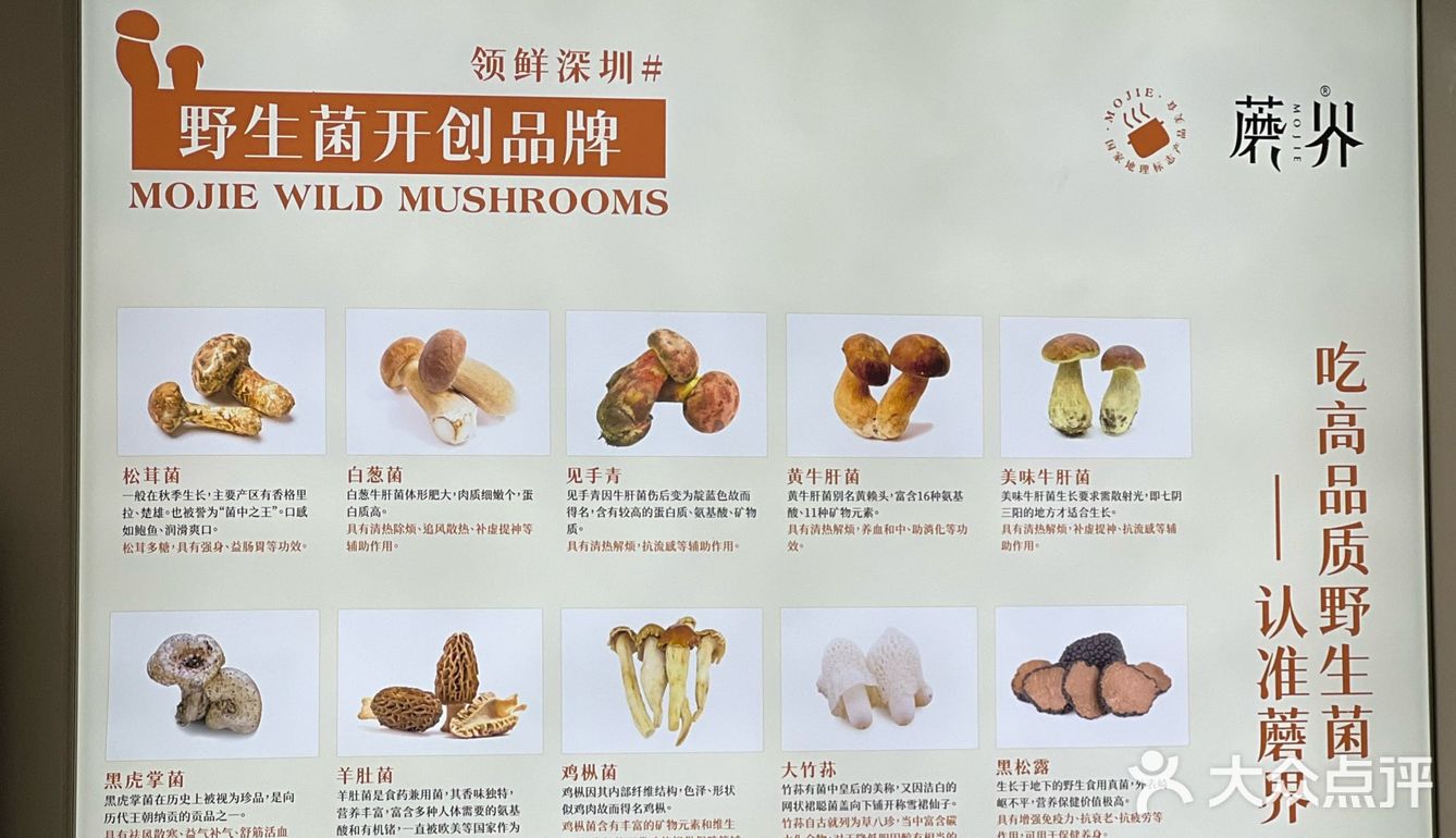 热气腾腾的一锅野生菌土鸡汤，新年与菌相见！