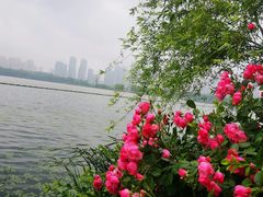 -东湖磨山景区