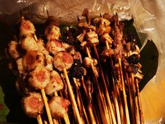 烤串-杨合林啊兰烤鱼