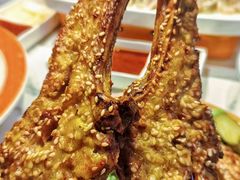 -巴依老爷新疆美食(常营店)