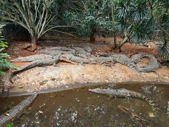 -海南热带野生动植物园