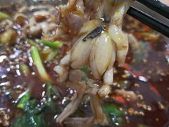-邱氏胖泥鳅(大堰店)