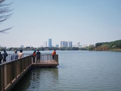 -海珠湖公园