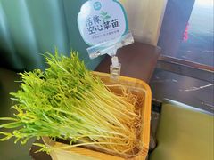 活体空心菜苗-阳坊胜利涮羊肉(阳坊老店)