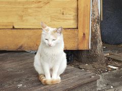 门面-猫爷的腔调·黔小馆(交大医学住宅区店)