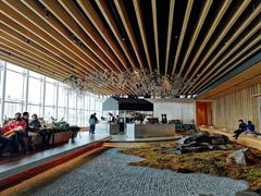 大堂-Seesaw Coffee(朝阳大悦城店)