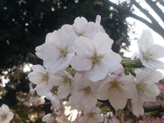 -南山植物园