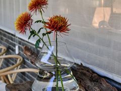 -曲廊院(东四十一条店)