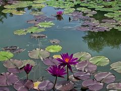 -国家植物园南园