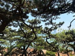 -青岛第二海水浴场