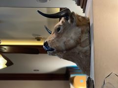 -摩根扒房(桐梓林店)