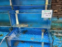-宏源鑫海鲜餐厅·海景婚宴厅(石老人店)