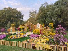 -上海共青森林公园