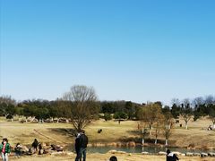 -钟山体育运动公园