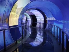 -房山世界地质公园博物馆