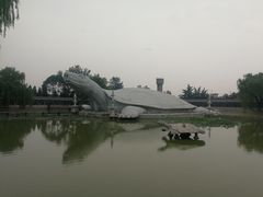 -东方巨龟苑景区