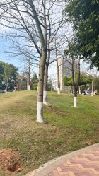 -番禺儿童公园