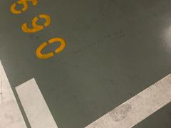 -上海海昌海洋公园-停车场