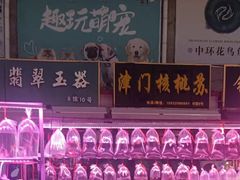 -中环花鸟鱼虫市场