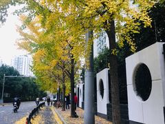 -上海电影博物馆