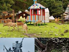 -五营红松林海景区