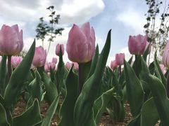 -长春公园(普阳街道)