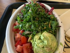 -油梨树 AVOCADO TREE(亮马桥店)