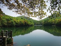 -白马涧龙池景区