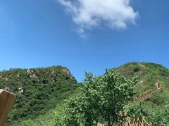 -大岭沟猕猴桃谷风景区