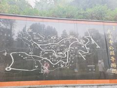-龙头寺公园