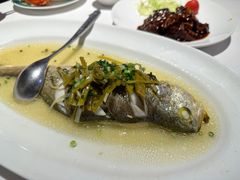 -老洋房花园饭店(绍兴路店)