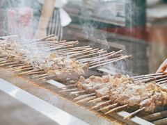 -红柳枝滩羊烧烤·非遗
