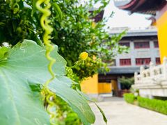 -下海庙