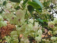 -江南大学(蠡湖校区)