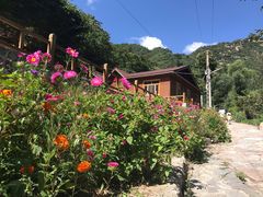 -大岭沟猕猴桃谷风景区