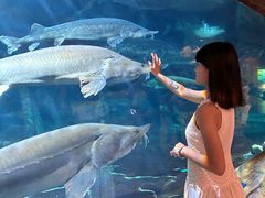 -华夏文旅西安度假区