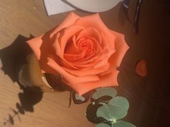 -佐度王子扒房(爱建卓展店)