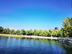 -莲花池公园