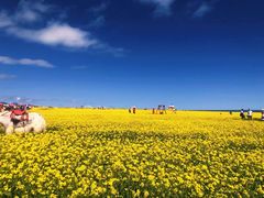 -青海湖国家重点风景名胜区