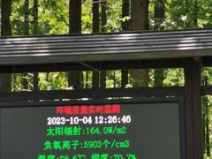 -黄海国家森林公园